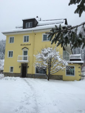 Гостиница Hotel Lindenhof, Бад-Гаштайн